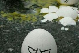 El huevo ofendido 5 mitos sobre el huevo