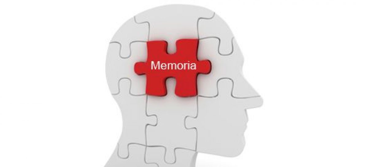 El Omega 3 mejora la memoria