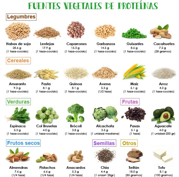 tabla de proteínas vegetales