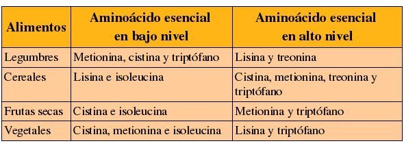 ¿Animal o vegetal? esa es la cuestión