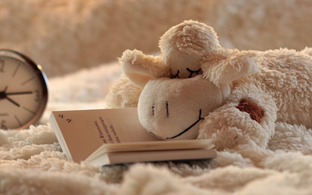 Oveja leyendo antes de dormir
