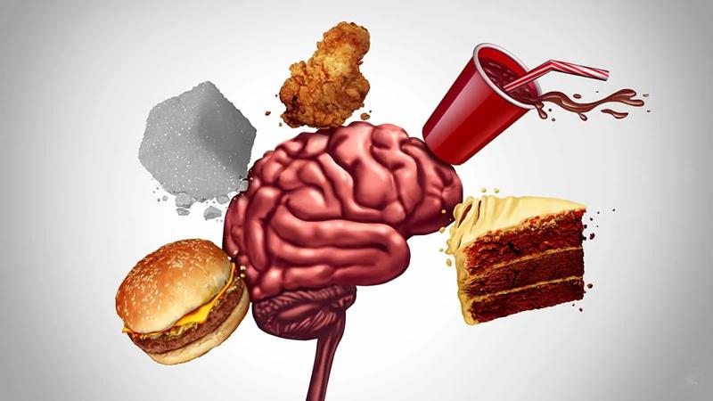 Efectos de la comida basura en el cerebro Fast food ¡la vía rápida para la enfermedad!