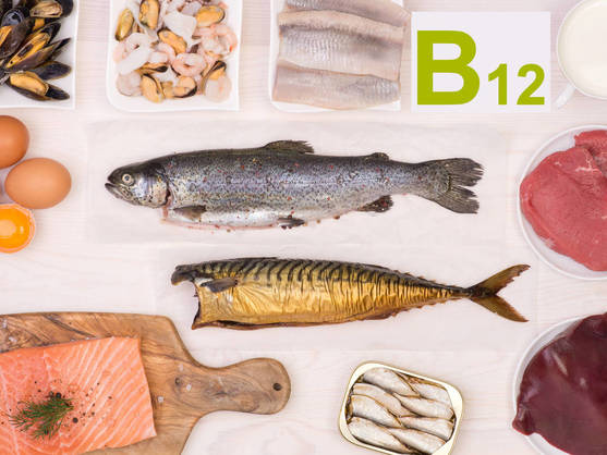 Fuente vitamina B12