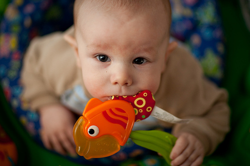 bebés y pescado