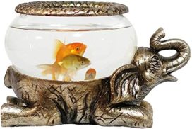 La pecera de oro y los mitos sobre el pescado