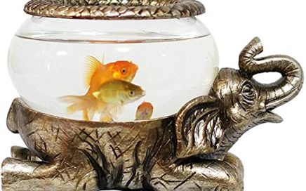 La pecera de oro y los mitos sobre el pescado
