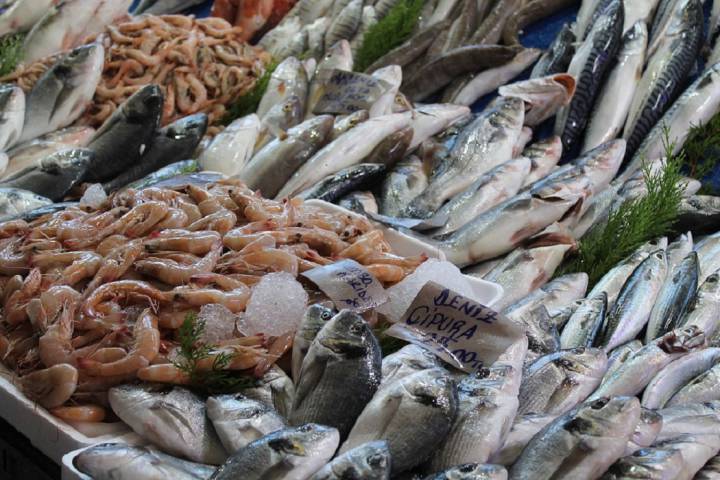 La pecera de oro y los mitos sobre el pescado 